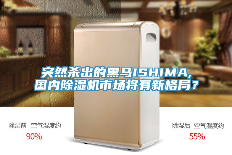 突然殺出的黑馬ISHIMA,國(guó)內(nèi)除濕機(jī)市場(chǎng)將有新格局？