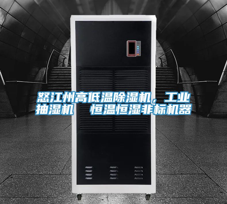 怒江州高低溫除濕機，工業(yè)抽濕機  恒溫恒濕非標機器
