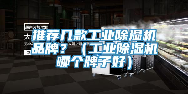 推薦幾款工業(yè)除濕機品牌？（工業(yè)除濕機哪個牌子好）