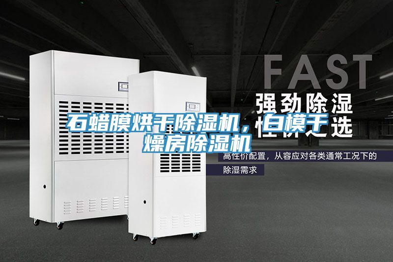 石蠟?zāi)ず娓沙凉駲C(jī)，白模干燥房除濕機(jī)