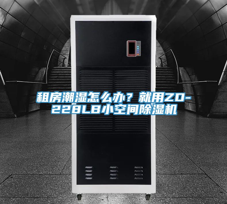 租房潮濕怎么辦？就用ZD-228LB小空間除濕機