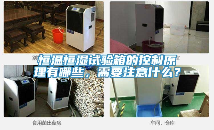 恒溫恒濕試驗(yàn)箱的控制原理有哪些，需要注意什么？