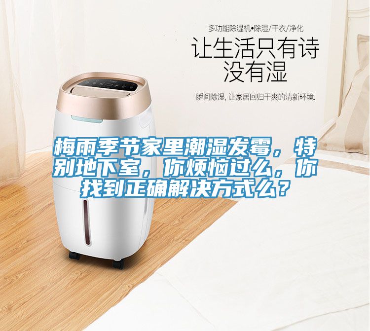 梅雨季節(jié)家里潮濕發(fā)霉，特別地下室，你煩惱過么，你找到正確解決方式么？