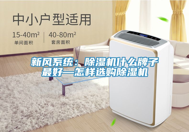 新風系統(tǒng)：除濕機什么牌子最好—怎樣選購除濕機