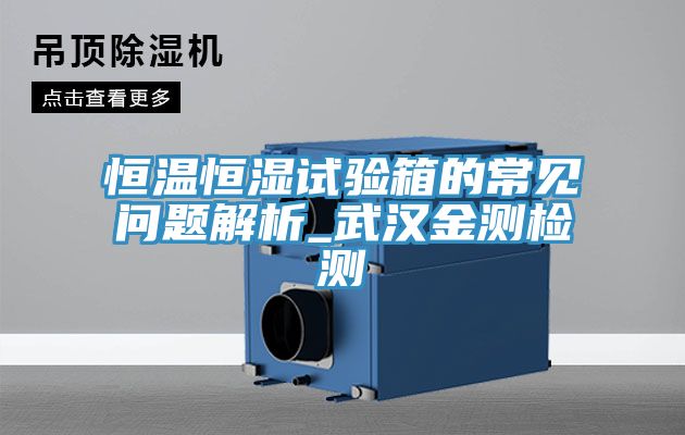 恒溫恒濕試驗(yàn)箱的常見問題解析_武漢金測(cè)檢測(cè)
