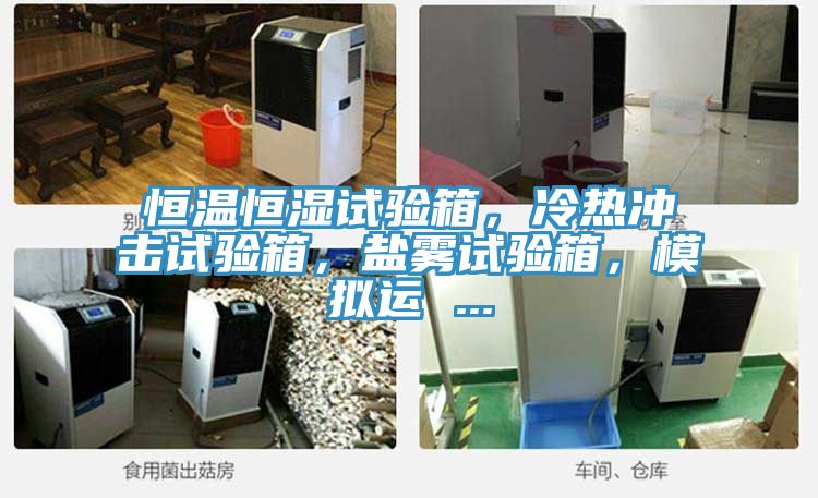 恒溫恒濕試驗箱，冷熱沖擊試驗箱，鹽霧試驗箱，模擬運 ...