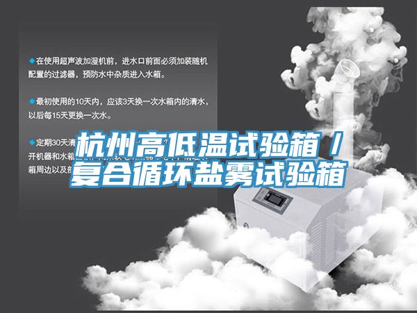 杭州高低溫試驗箱／復(fù)合循環(huán)鹽霧試驗箱