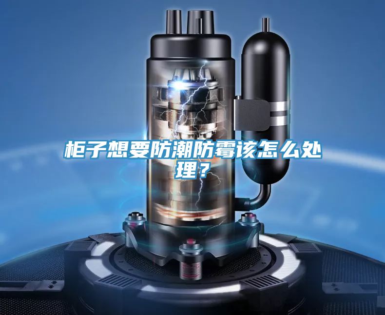 柜子想要防潮防霉該怎么處理？