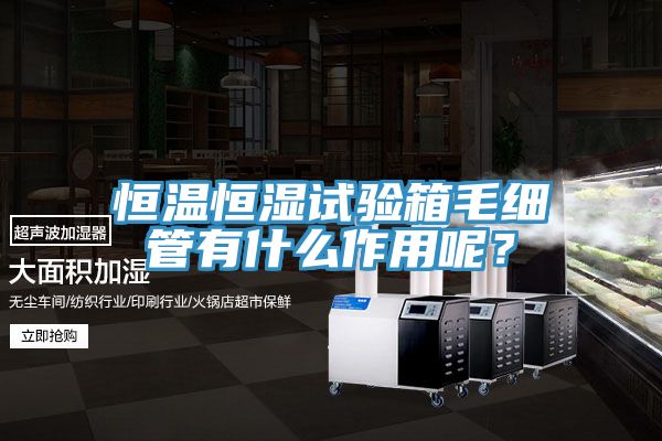 恒溫恒濕試驗(yàn)箱毛細(xì)管有什么作用呢？