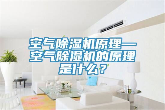 空氣除濕機(jī)原理—空氣除濕機(jī)的原理是什么？