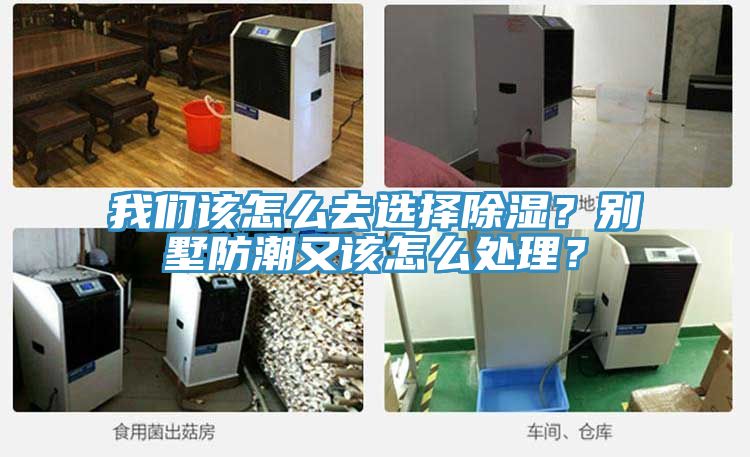 我們該怎么去選擇除濕？別墅防潮又該怎么處理？