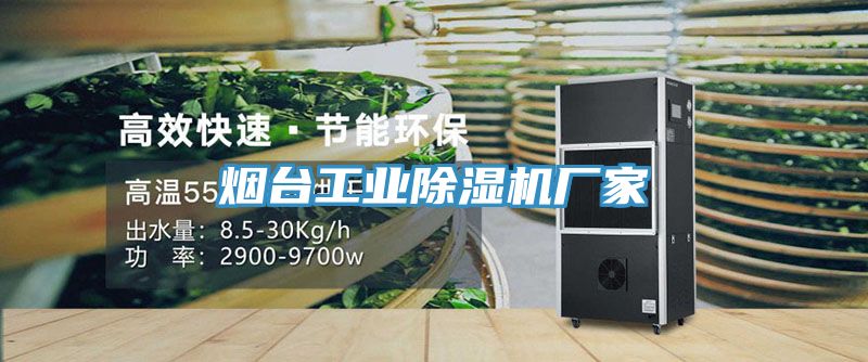 煙臺工業(yè)除濕機廠家
