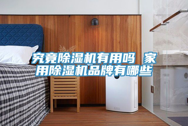 究竟除濕機(jī)有用嗎 家用除濕機(jī)品牌有哪些