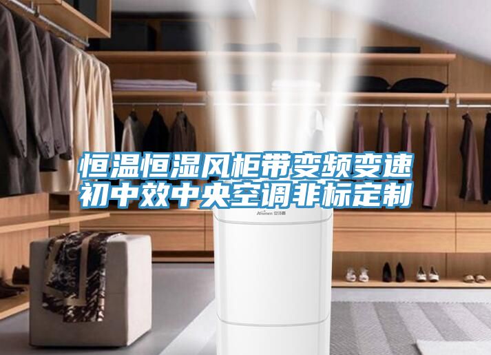 恒溫恒濕風柜帶變頻變速初中效中央空調(diào)非標定制