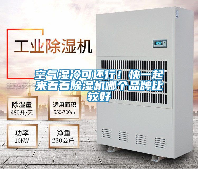 空氣濕冷可還行！快一起來看看除濕機(jī)哪個品牌比較好