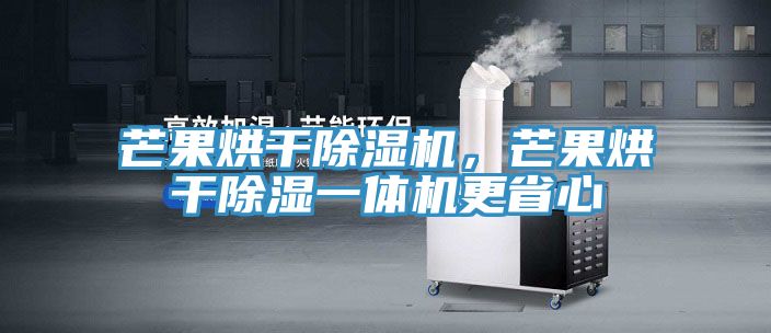 芒果烘干除濕機，芒果烘干除濕一體機更省心