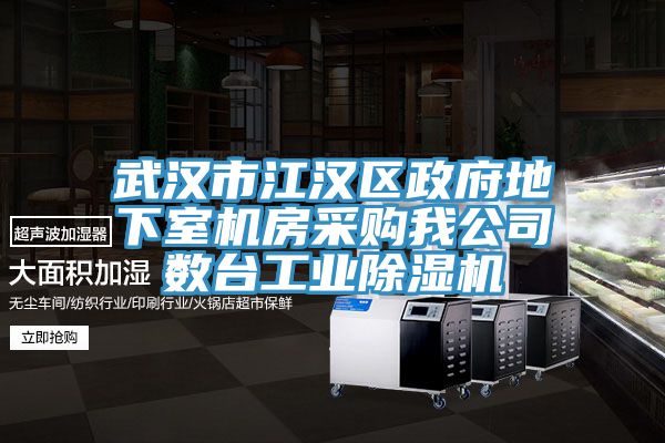 武漢市江漢區(qū)政府地下室機(jī)房采購我公司數(shù)臺(tái)工業(yè)除濕機(jī)