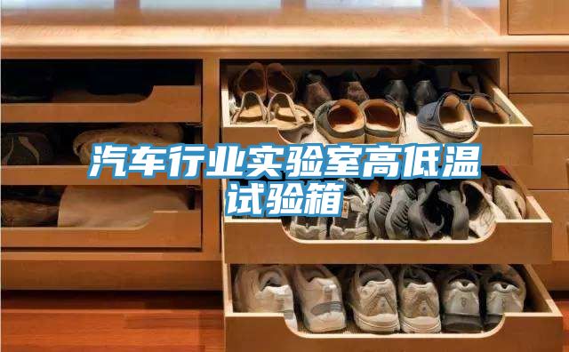 汽車行業(yè)實(shí)驗(yàn)室高低溫試驗(yàn)箱