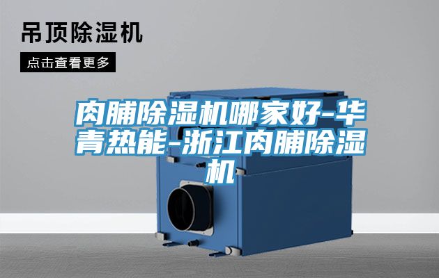肉脯除濕機(jī)哪家好-華青熱能-浙江肉脯除濕機(jī)