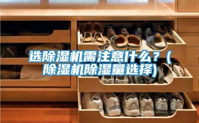 選除濕機(jī)需注意什么？(除濕機(jī)除濕量選擇)