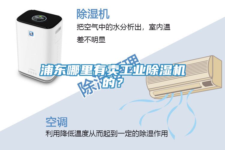 浦東哪里有賣工業(yè)除濕機(jī)的？