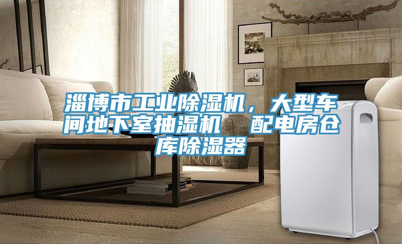 淄博市工業(yè)除濕機，大型車間地下室抽濕機  配電房倉庫除濕器