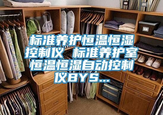標(biāo)準(zhǔn)養(yǎng)護(hù)恒溫恒濕控制儀 標(biāo)準(zhǔn)養(yǎng)護(hù)室恒溫恒濕自動(dòng)控制儀BYS...