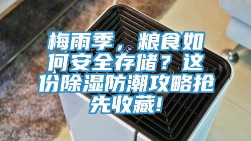 梅雨季，糧食如何安全存儲(chǔ)？這份除濕防潮攻略搶先收藏!