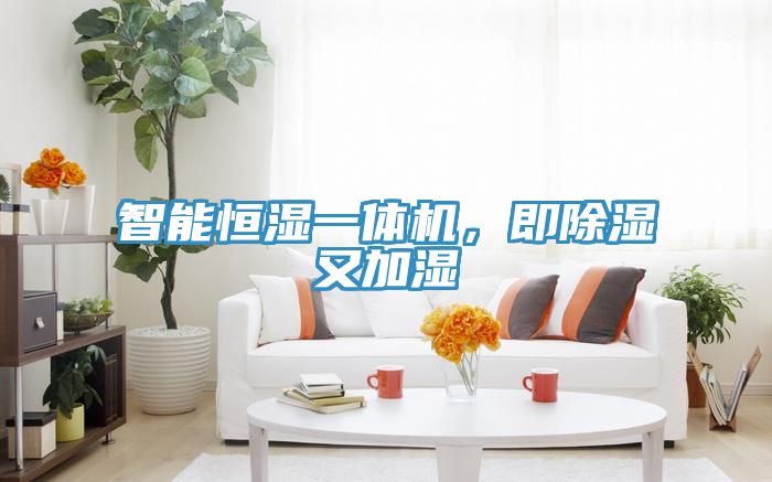 智能恒濕一體機(jī)，即除濕又加濕