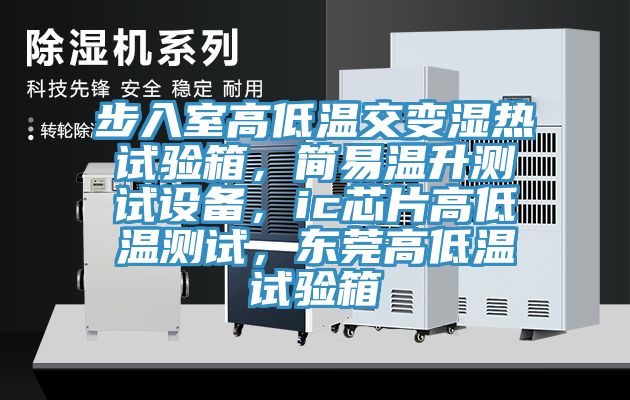 步入室高低溫交變濕熱試驗(yàn)箱，簡易溫升測試設(shè)備，ic芯片高低溫測試，東莞高低溫試驗(yàn)箱