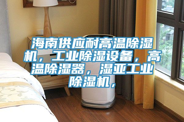 海南供應(yīng)耐高溫除濕機(jī)，工業(yè)除濕設(shè)備，高溫除濕器，濕亞工業(yè)除濕機(jī)，