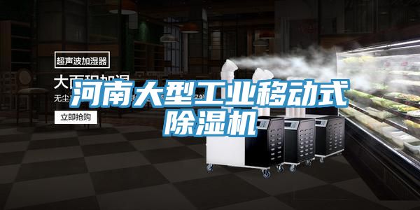 河南大型工業(yè)移動(dòng)式除濕機(jī)