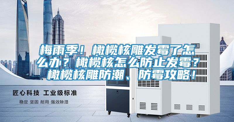 梅雨季！橄欖核雕發(fā)霉了怎么辦？橄欖核怎么防止發(fā)霉？ 橄欖核雕防潮、防霉攻略！