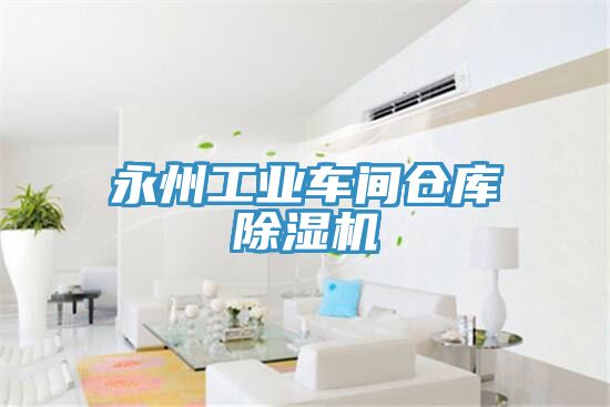 永州工業(yè)車間倉(cāng)庫(kù)除濕機(jī)