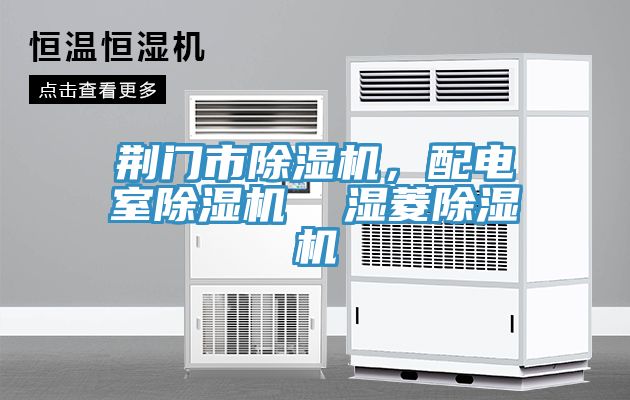 荊門市除濕機(jī)，配電室除濕機(jī)  濕菱除濕機(jī)