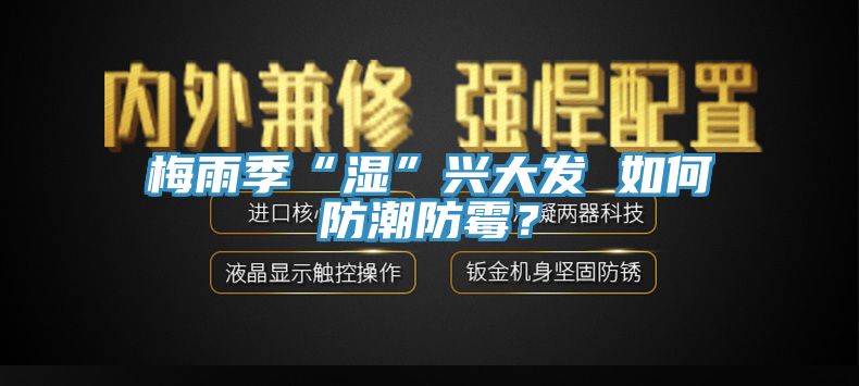 梅雨季“濕”興大發(fā) 如何防潮防霉？