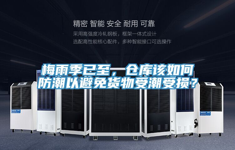 梅雨季已至，倉庫該如何防潮以避免貨物受潮受損？