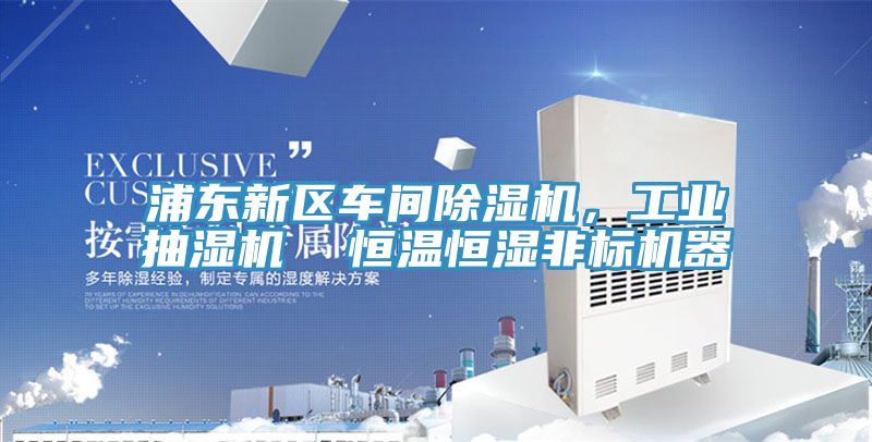 浦東新區(qū)車間除濕機(jī)，工業(yè)抽濕機(jī)  恒溫恒濕非標(biāo)機(jī)器