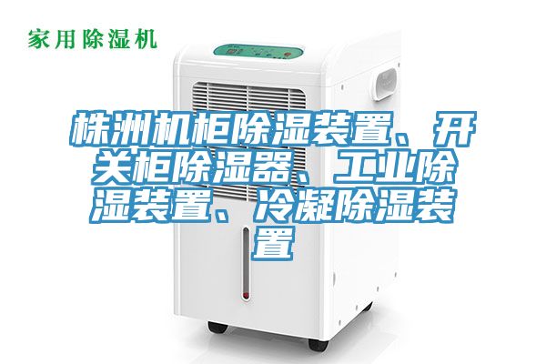 株洲機柜除濕裝置、開關(guān)柜除濕器、工業(yè)除濕裝置、冷凝除濕裝置