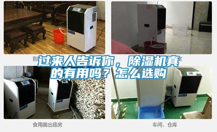 過來人告訴你，除濕機(jī)真的有用嗎？怎么選購(gòu)