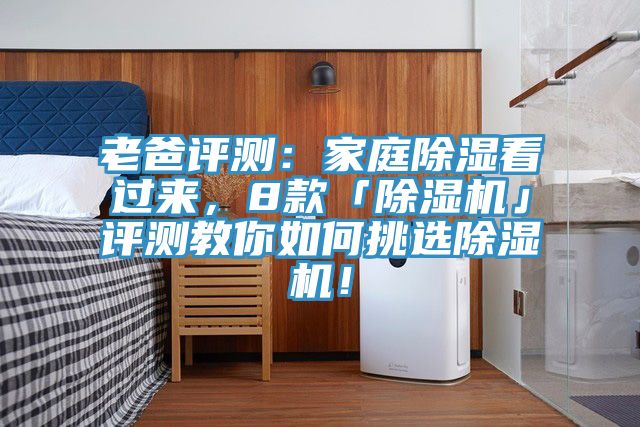 老爸評(píng)測(cè)：家庭除濕看過來，8款「除濕機(jī)」評(píng)測(cè)教你如何挑選除濕機(jī)！