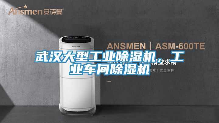 武漢大型工業(yè)除濕機(jī)，工業(yè)車間除濕機(jī)