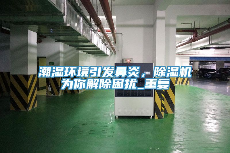 潮濕環(huán)境引發(fā)鼻炎，除濕機為你解除困擾_重復(fù)