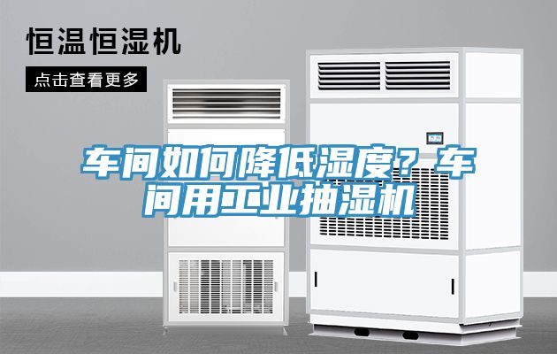 車間如何降低濕度？車間用工業(yè)抽濕機(jī)