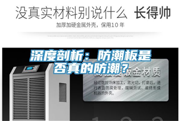 深度剖析：防潮板是否真的防潮？