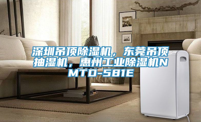 深圳吊頂除濕機，東莞吊頂抽濕機，惠州工業(yè)除濕機NMTD-581E