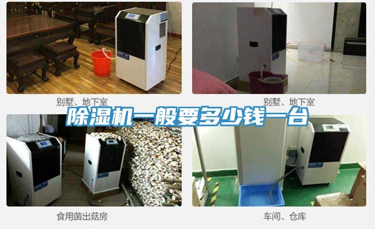 除濕機(jī)一般要多少錢一臺(tái)