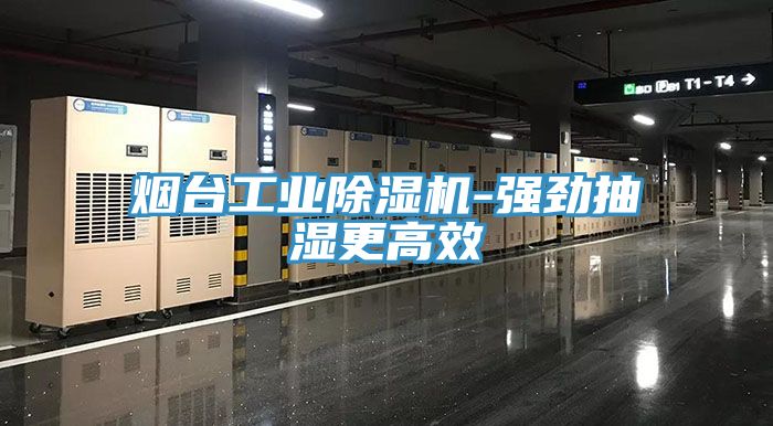 煙臺工業(yè)除濕機(jī)-強(qiáng)勁抽濕更高效