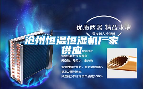 滄州恒溫恒濕機(jī)廠家供應(yīng)