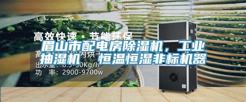 眉山市配電房除濕機，工業(yè)抽濕機  恒溫恒濕非標機器